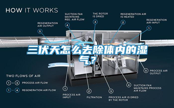 三伏天怎么去除體內(nèi)的濕氣？