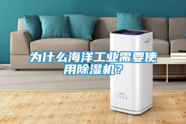 為什么海洋工業(yè)需要使用除濕機(jī)？