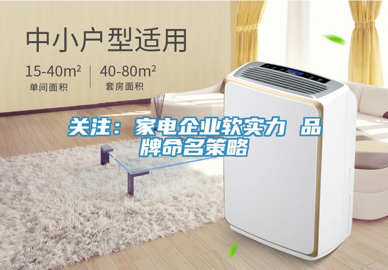 關注：家電企業(yè)軟實力 品牌命名策略