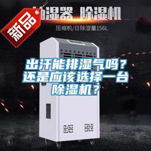 出汗能排濕氣嗎？還是應(yīng)該選擇一臺除濕機(jī)？