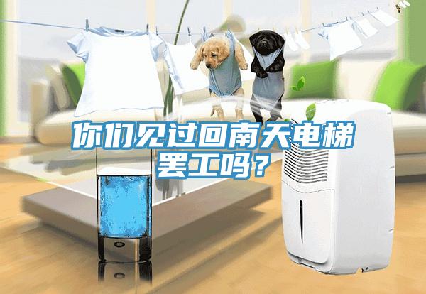 你們見過回南天電梯罷工嗎？