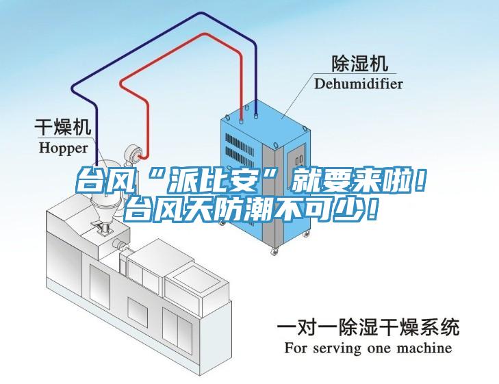 臺風(fēng)“派比安”就要來啦！臺風(fēng)天防潮不可少！