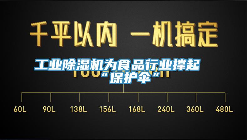 工業(yè)除濕機為食品行業(yè)撐起“保護傘”