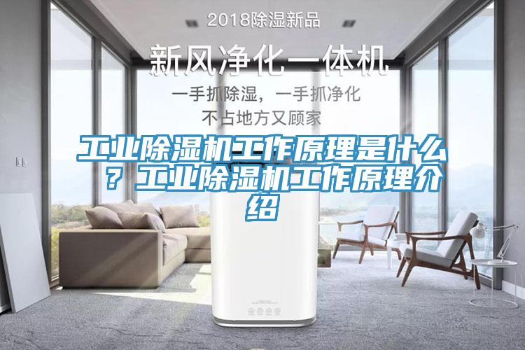 工業(yè)除濕機工作原理是什么 ？工業(yè)除濕機工作原理介紹