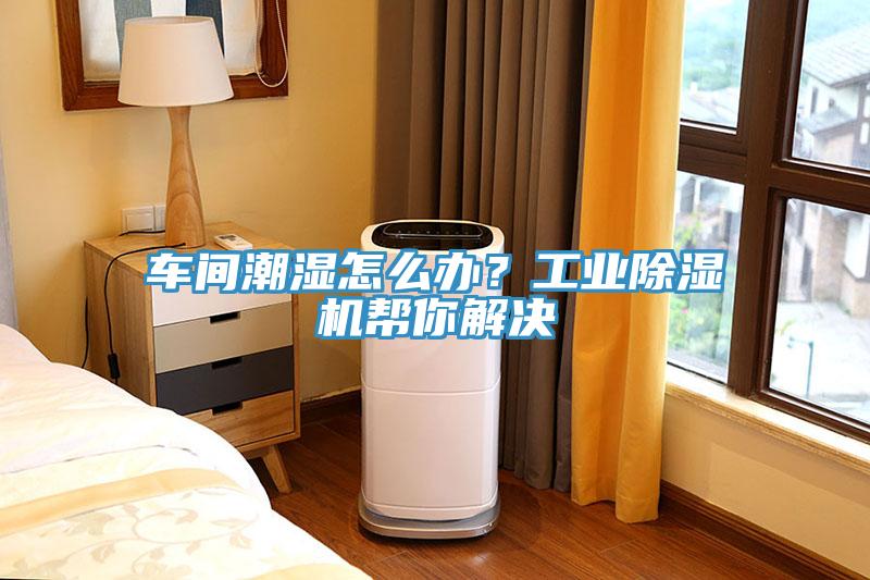 車間潮濕怎么辦？工業(yè)除濕機幫你解決