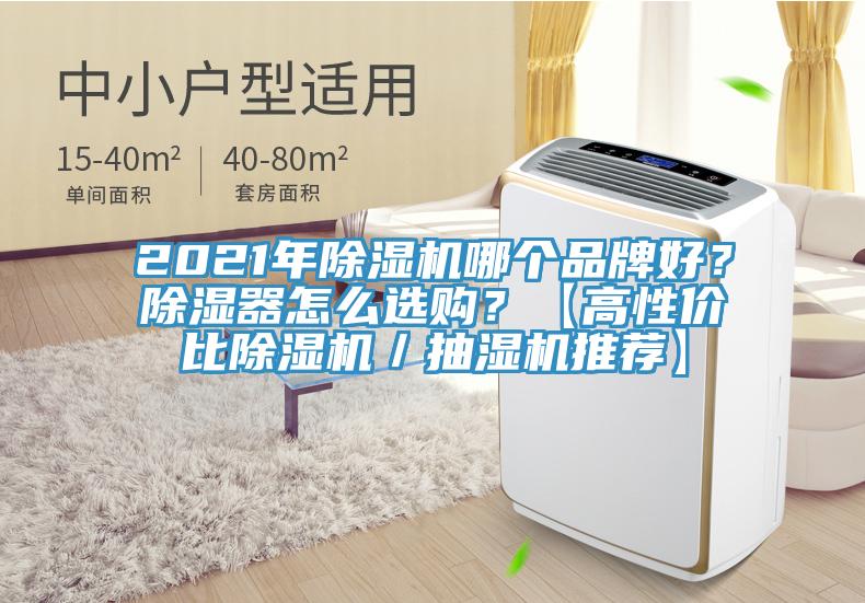 2021年除濕機哪個品牌好？除濕器怎么選購？【高性價比除濕機／抽濕機推薦】