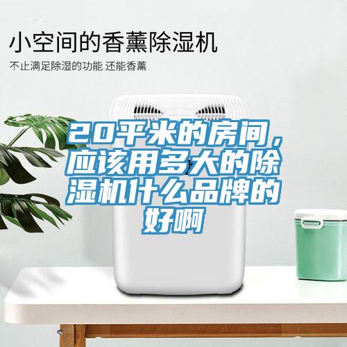 20平米的房間，應(yīng)該用多大的除濕機(jī)什么品牌的好啊