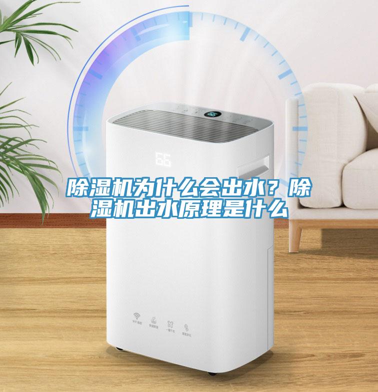 除濕機為什么會出水？除濕機出水原理是什么