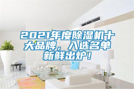 2021年度除濕機十大品牌，入選名單新鮮出爐！