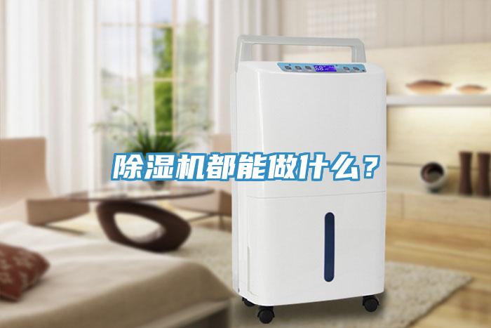 除濕機(jī)都能做什么？