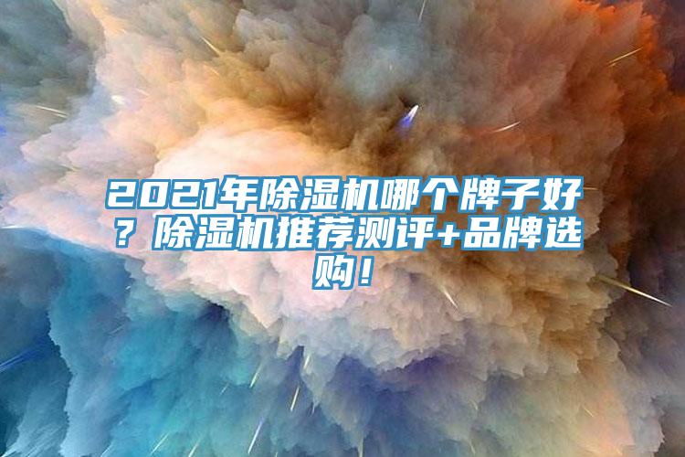 2021年除濕機哪個牌子好？除濕機推薦測評+品牌選購！