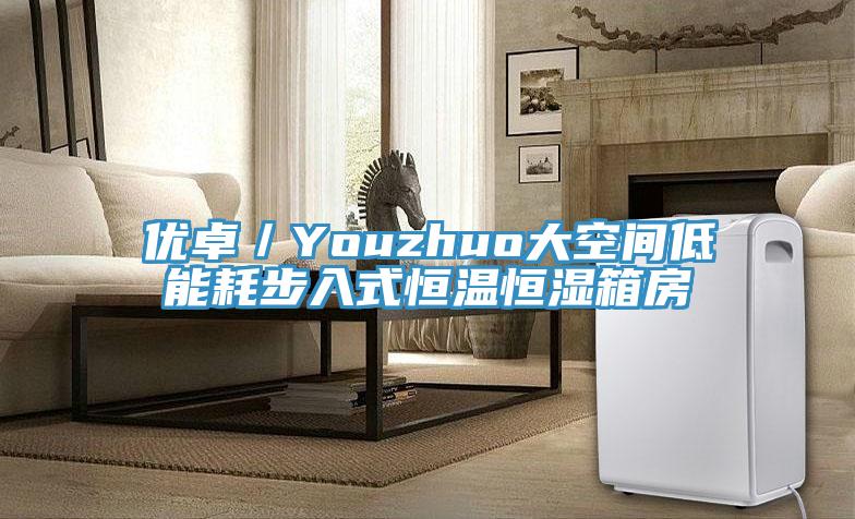 優(yōu)卓／Youzhuo大空間低能耗步入式恒溫恒濕箱房