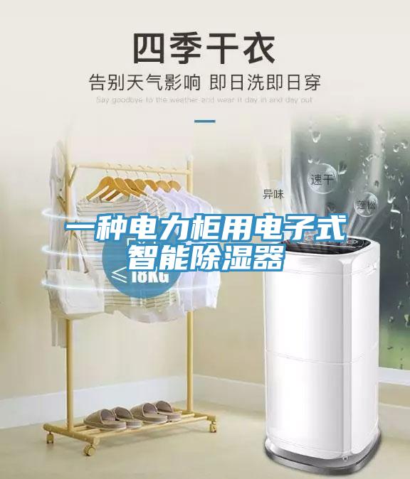 一種電力柜用電子式智能除濕器