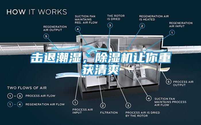 擊退潮濕，除濕機讓你重獲清爽