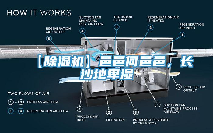 【除濕機】邑邑何邑邑，長沙地卑濕