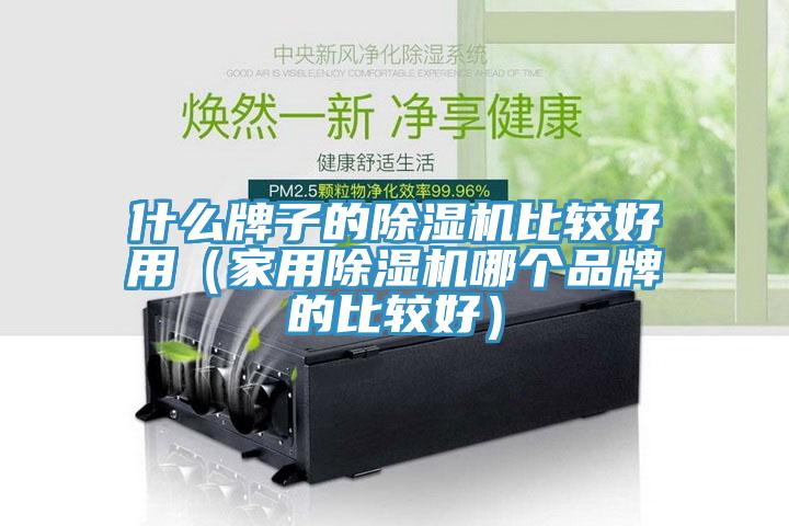 什么牌子的除濕機比較好用（家用除濕機哪個品牌的比較好）