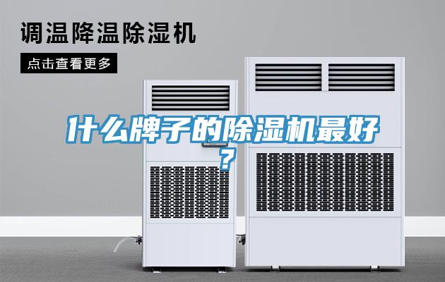 什么牌子的除濕機(jī)最好？