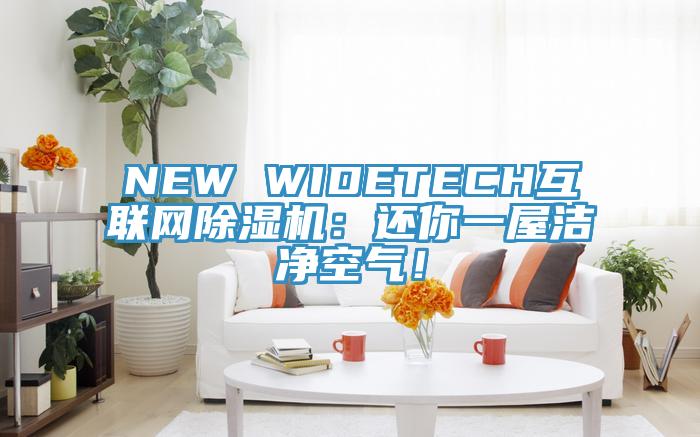 NEW WIDETECH互聯(lián)網(wǎng)除濕機(jī)：還你一屋潔凈空氣！