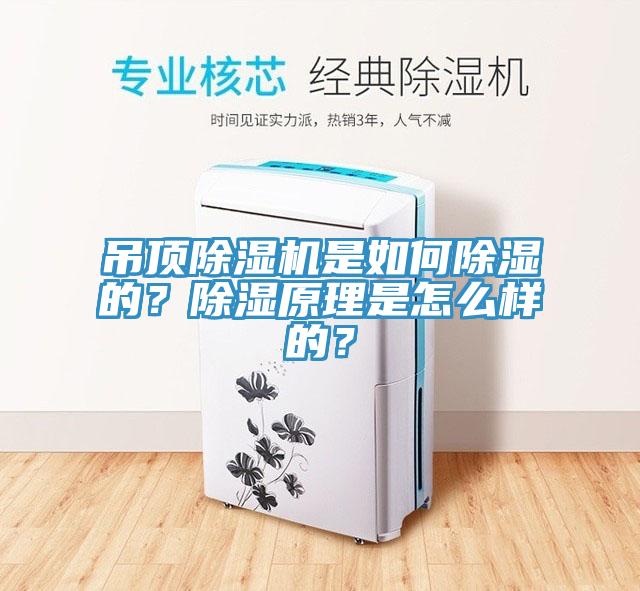 吊頂除濕機是如何除濕的？除濕原理是怎么樣的？