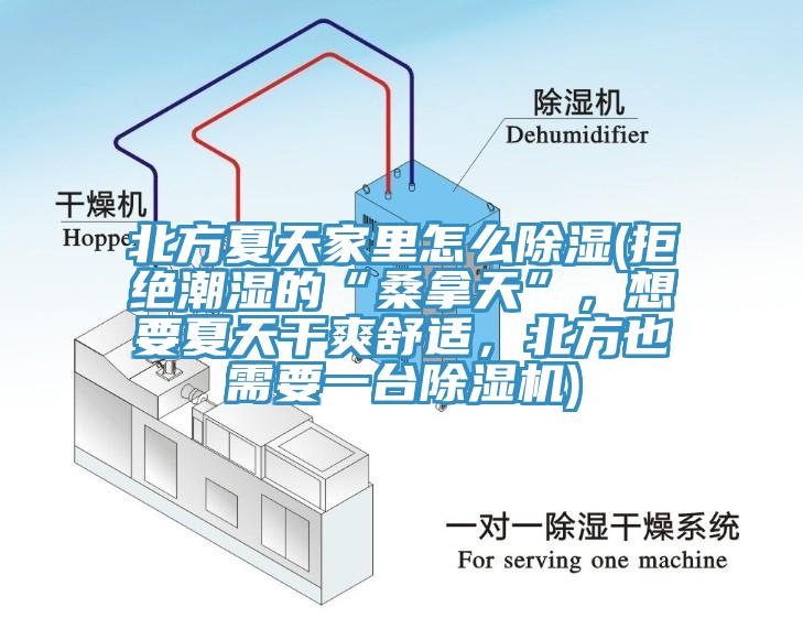 北方夏天家里怎么除濕(拒絕潮濕的“桑拿天”，想要夏天干爽舒適，北方也需要一臺除濕機)