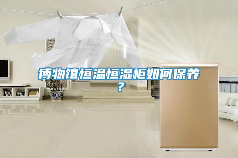 博物館恒溫恒濕柜如何保養(yǎng)？