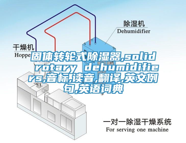 固體轉(zhuǎn)輪式除濕器,solid rotary dehumidifiers,音標(biāo),讀音,翻譯,英文例句,英語詞典