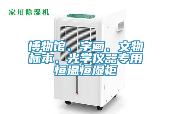 博物館、字畫、文物標(biāo)本、光學(xué)儀器專用恒溫恒濕柜