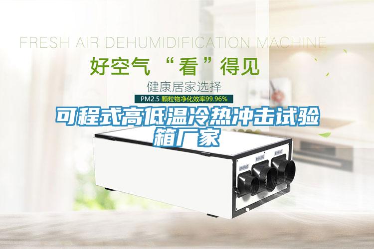 可程式高低溫冷熱沖擊試驗箱廠家