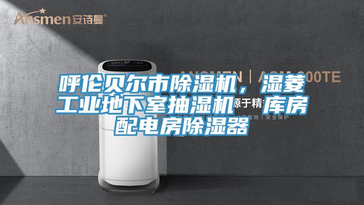 呼倫貝爾市除濕機(jī)，濕菱工業(yè)地下室抽濕機(jī)  庫房配電房除濕器