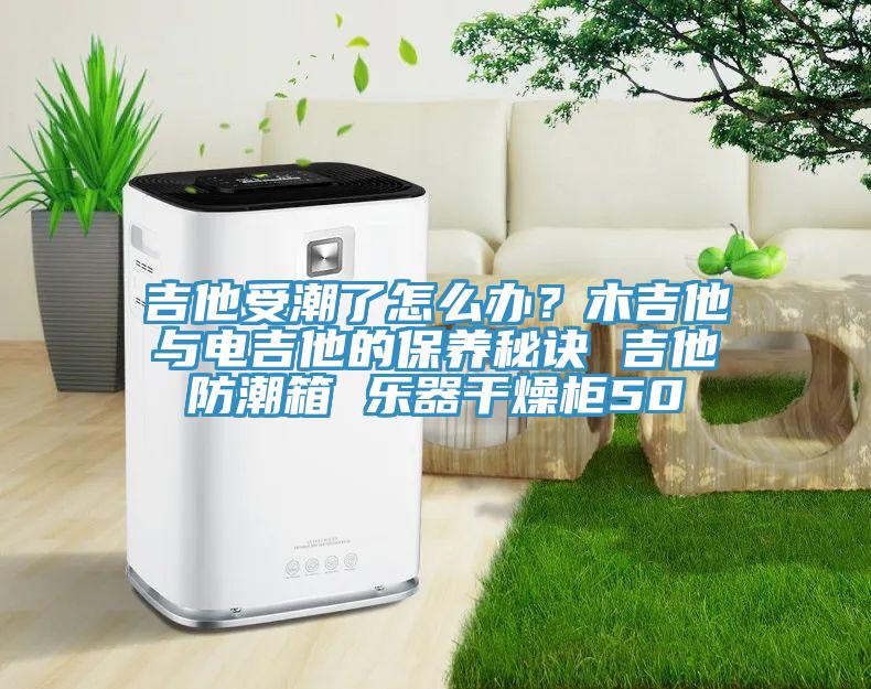吉他受潮了怎么辦？木吉他與電吉他的保養(yǎng)秘訣 吉他防潮箱 樂(lè)器干燥柜50