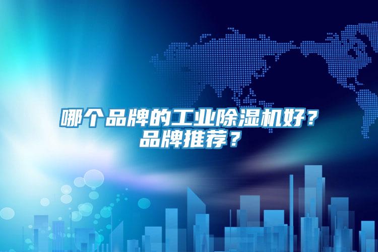 哪個品牌的工業(yè)除濕機好？品牌推薦？