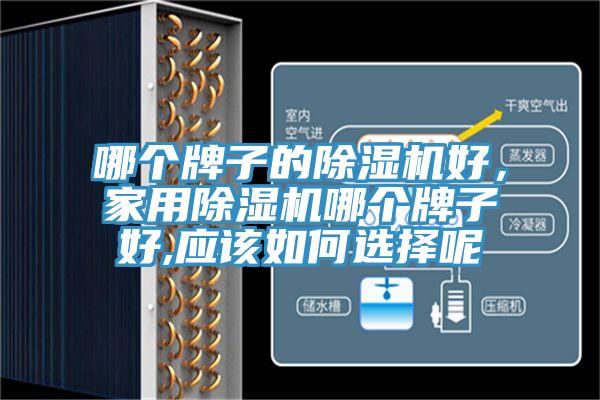 哪個牌子的除濕機好，家用除濕機哪個牌子好,應該如何選擇呢