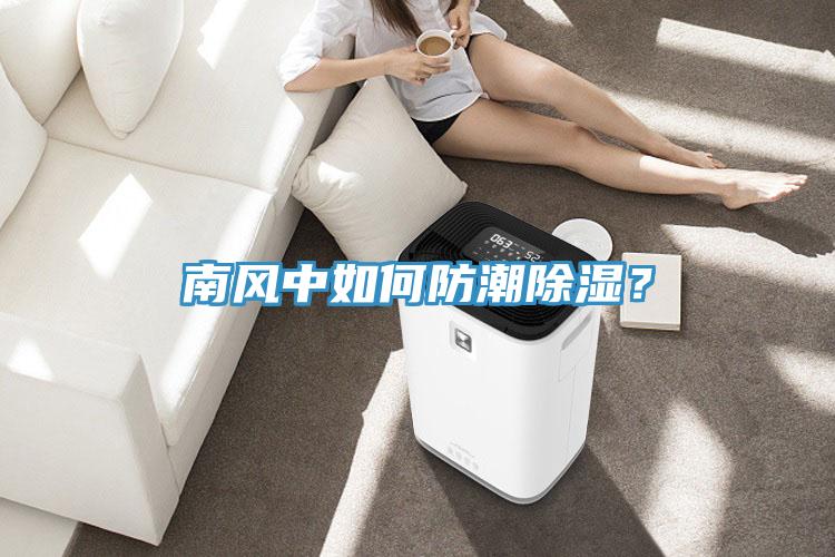 南風(fēng)中如何防潮除濕？