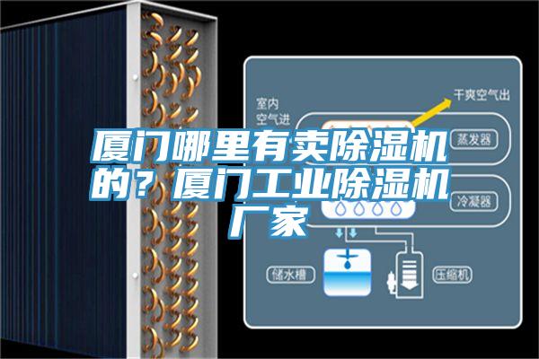 廈門哪里有賣除濕機的？廈門工業(yè)除濕機廠家