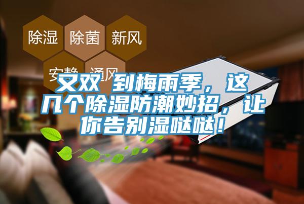 又雙叒到梅雨季，這幾個除濕防潮妙招，讓你告別濕噠噠！