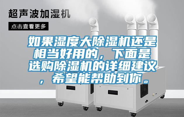 如果濕度大除濕機還是相當好用的，下面是選購除濕機的詳細建議，希望能幫助到你。