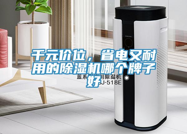 千元價位，省電又耐用的除濕機哪個牌子好