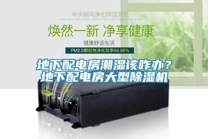 地下配電房潮濕該咋辦？地下配電房大型除濕機(jī)