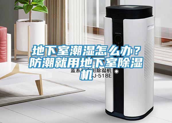 地下室潮濕怎么辦？防潮就用地下室除濕機(jī)