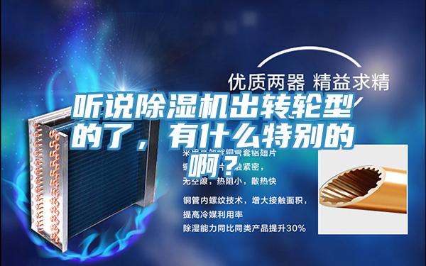 聽說除濕機(jī)出轉(zhuǎn)輪型的了，有什么特別的?。?></div>
								<div   id=