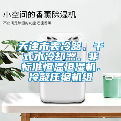 天津市表冷器、干式水冷卻器、非標(biāo)準(zhǔn)恒溫恒濕機(jī)、冷凝壓縮機(jī)組