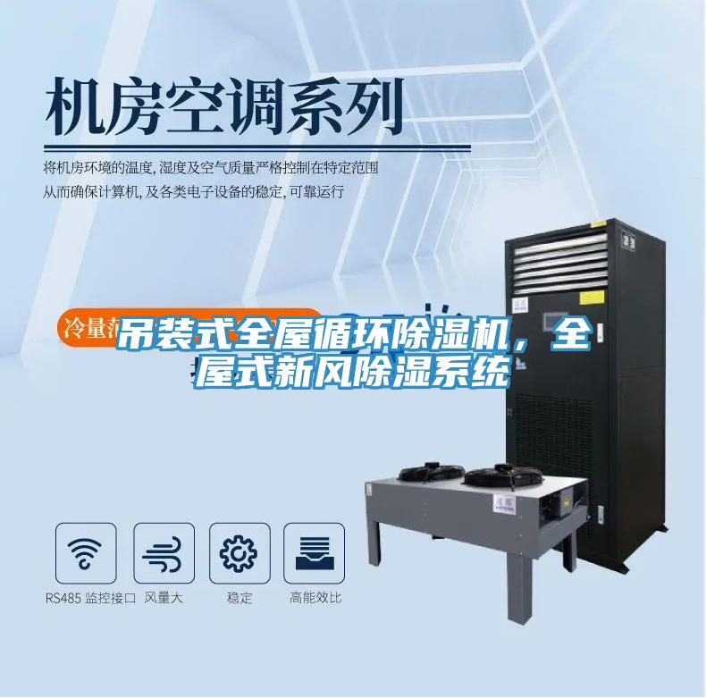 吊裝式全屋循環(huán)除濕機(jī)，全屋式新風(fēng)除濕系統(tǒng)
