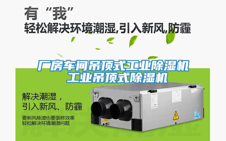 廠房車(chē)間吊頂式工業(yè)除濕機(jī) 工業(yè)吊頂式除濕機(jī)