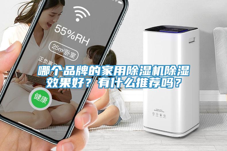 哪個品牌的家用除濕機除濕效果好？有什么推薦嗎？