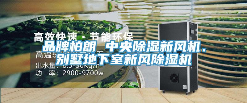 品牌柏朗 中央除濕新風機、別墅地下室新風除濕機