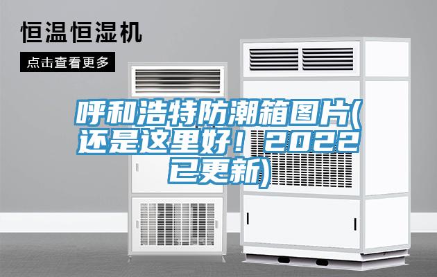 呼和浩特防潮箱圖片(還是這里好！2022已更新)