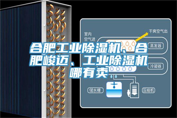 合肥工業(yè)除濕機、合肥峻邁、工業(yè)除濕機哪有賣