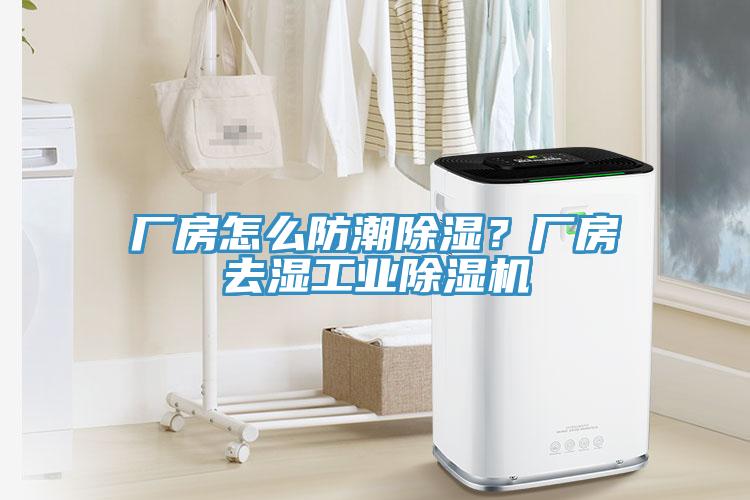 廠房怎么防潮除濕？廠房去濕工業(yè)除濕機(jī)