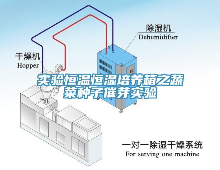 實(shí)驗(yàn)恒溫恒濕培養(yǎng)箱之蔬菜種子催芽實(shí)驗(yàn)