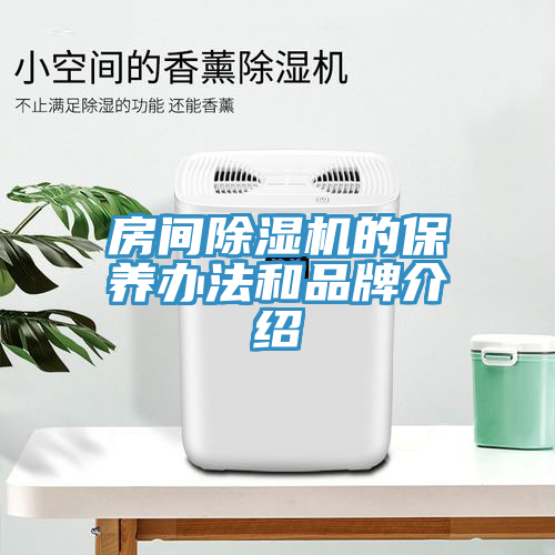 房間除濕機(jī)的保養(yǎng)辦法和品牌介紹